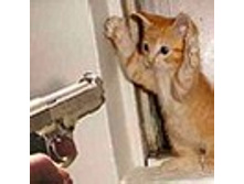 02.08.2010 1:35:53