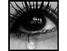 02.08.2010 1:35:56