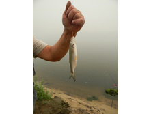 02.08.2010 11:48:38
