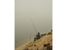 02.08.2010 11:51:47