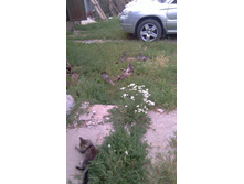 02.08.2010 15:51:51