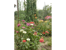02.08.2010 17:13:52