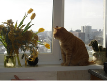 DSC01213.JPG