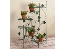 34764.jpg