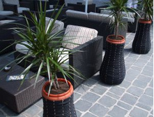 1042214_stradal_garden.jpg