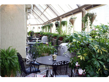 cafe2.jpg