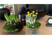 phytodesign-11.jpg