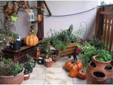 phytodesign-interior-1-300x224.jpg