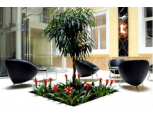 phytodesign-interior-3-300x199.png