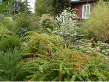 SDC18172.JPG