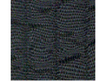 Palanya901_0.jpg