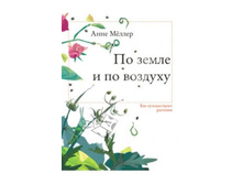 04.08.2010 11:03:39