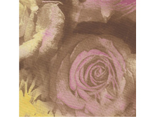 07.11.2011 15:35:56