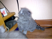 04.08.2010 15:22:23