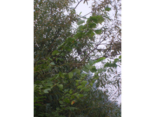 04.08.2010 21:35:39