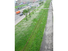 04.08.2010 23:48:54