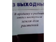 05.08.2010 10:08:47