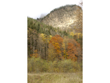 10.11.2008 13:27:48