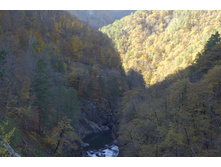 10.11.2008 17:37:54