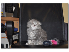 05.08.2010 18:54:48