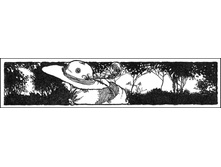06.08.2010 1:35:24