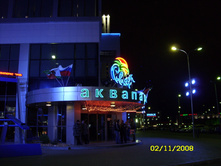 11.11.2008 13:50:22