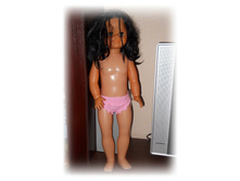 DSCN9955-1.jpg