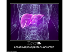 07.08.2010 1:07:36