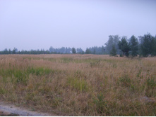 08.08.2010 7:58:38