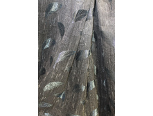 6031-430���..JPG