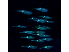 08.08.2010 15:55:27