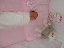 SDC11188.JPG