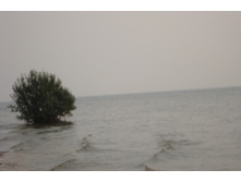 09.08.2010 15:24:34