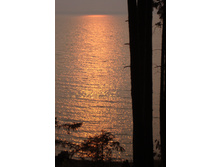 09.08.2010 15:34:35