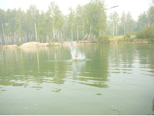 09.08.2010 16:47:32