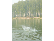 09.08.2010 17:07:59