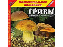 ����� - 85 ���