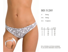 BD31205. Cichorium