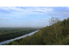 IMG_6554.JPG