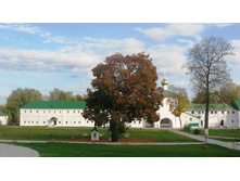 IMG_6584.JPG