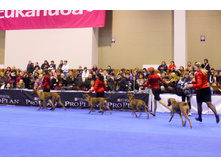 IMG_8775.jpg