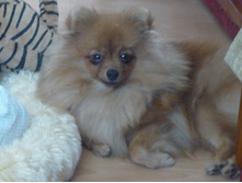 10.08.2010 23:39:46