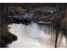 DSC_9487.jpg