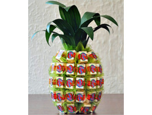 ddd-ananas-01.jpg