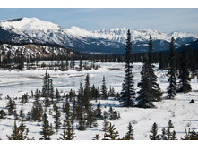 canada052.jpg