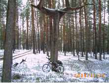 23.11.2008 14:41:19