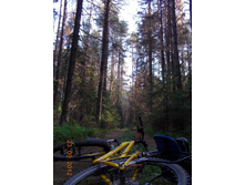 DSCN0197.JPG