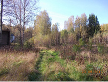 DSCN0206.JPG