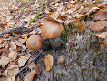 DSCN0235.JPG
