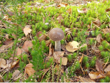 DSCN0245.JPG